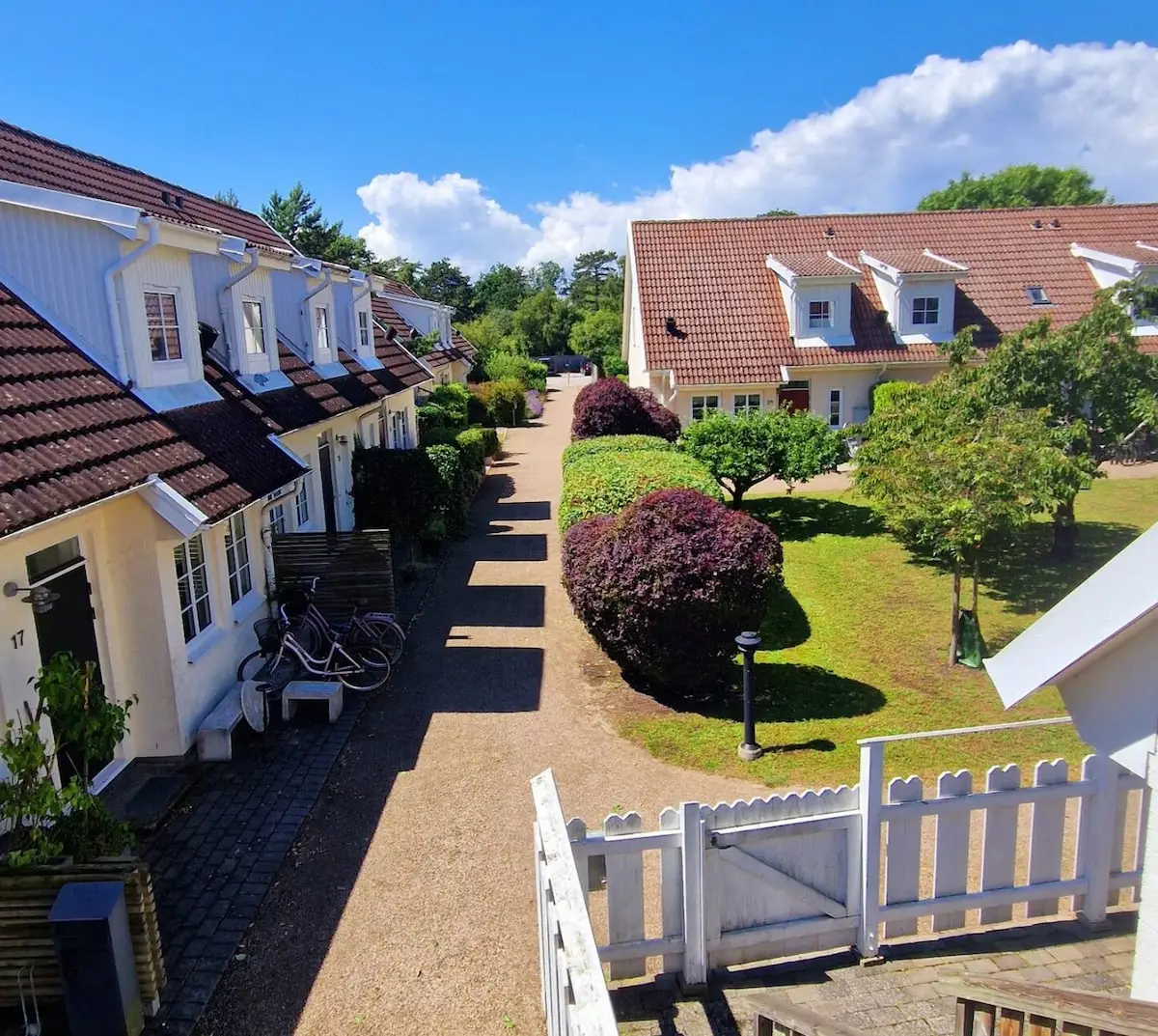 View from patio